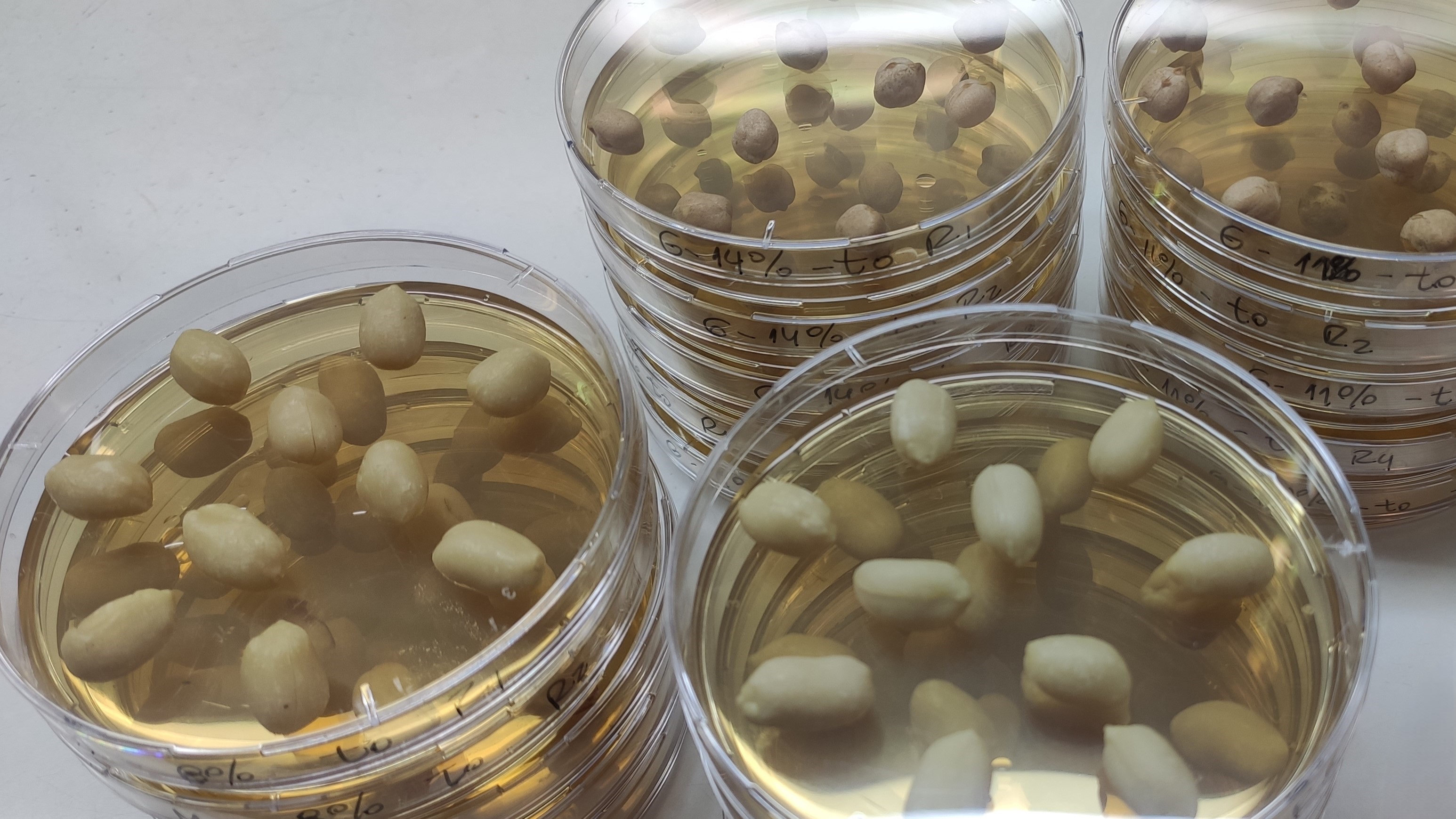 Investigación en el laboratorio
